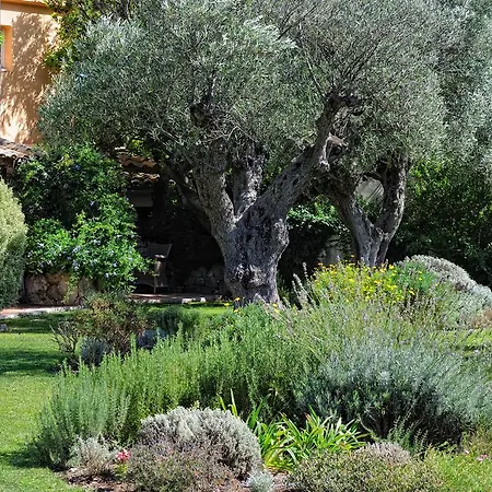 Hotel De Charme A Cheda Bonifacio (Corsica)