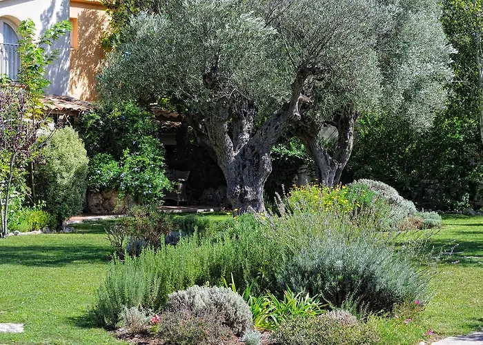 Hotel De Charme A Cheda Bonifacio (Corsica)